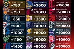 篮球新秀秘诀：速度与激情的节奏平衡训练